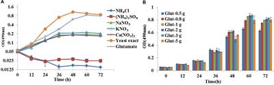 13C Metabolic Flux Analysis of Enhanced Lipid Accumulation Modulated by Ethanolamine in Crypthecodinium cohnii